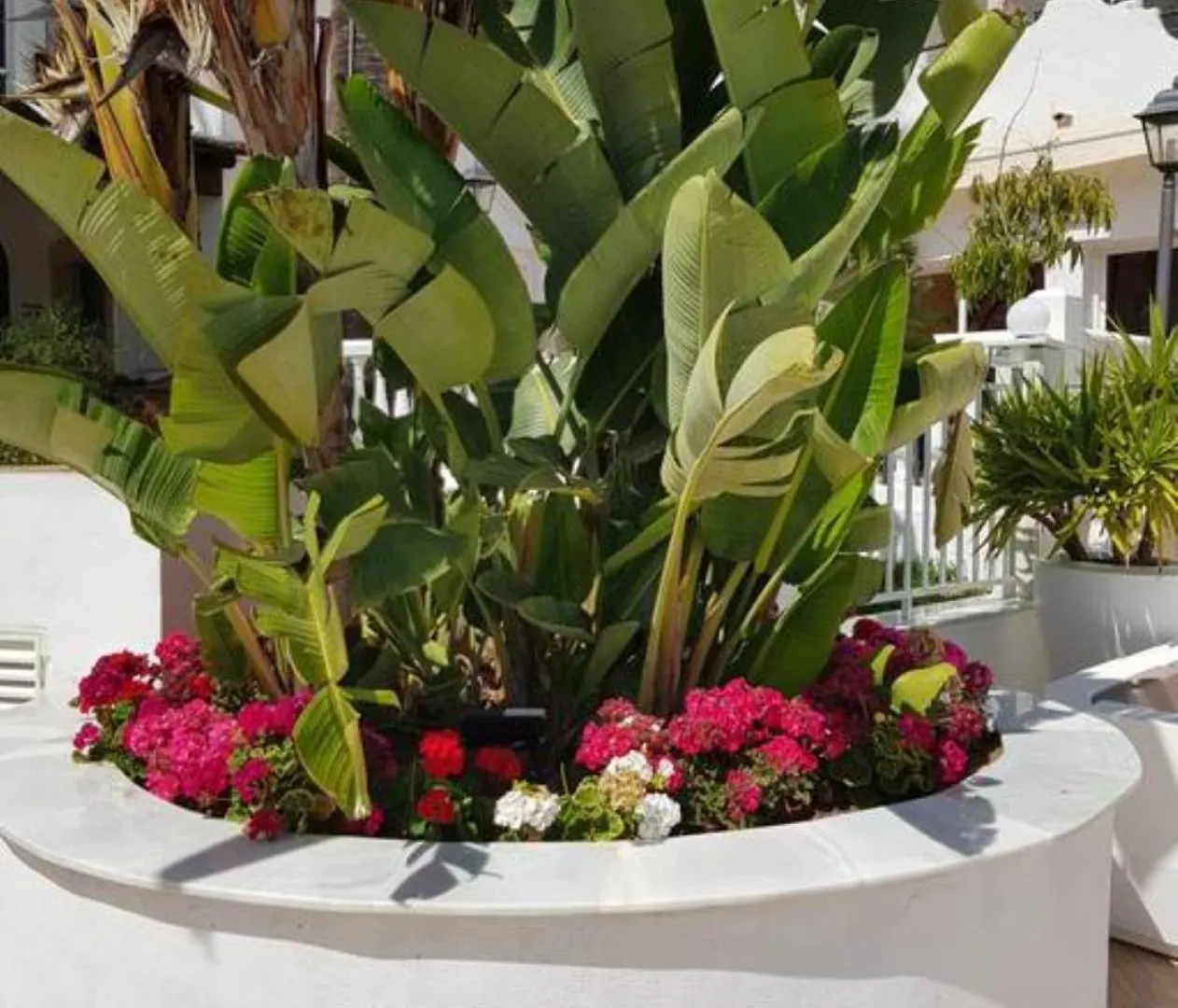 Casa Chico 2 Bedroom Townhouse 1 Mile From Marina & Beaches Marbella Apartment